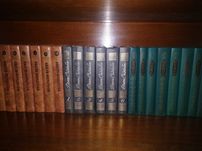 ДжЛондон,Салт-Щедрин,Лесков,Старицкий,Тарзан,Ян,Гоголь,Гюго,А.Каренина