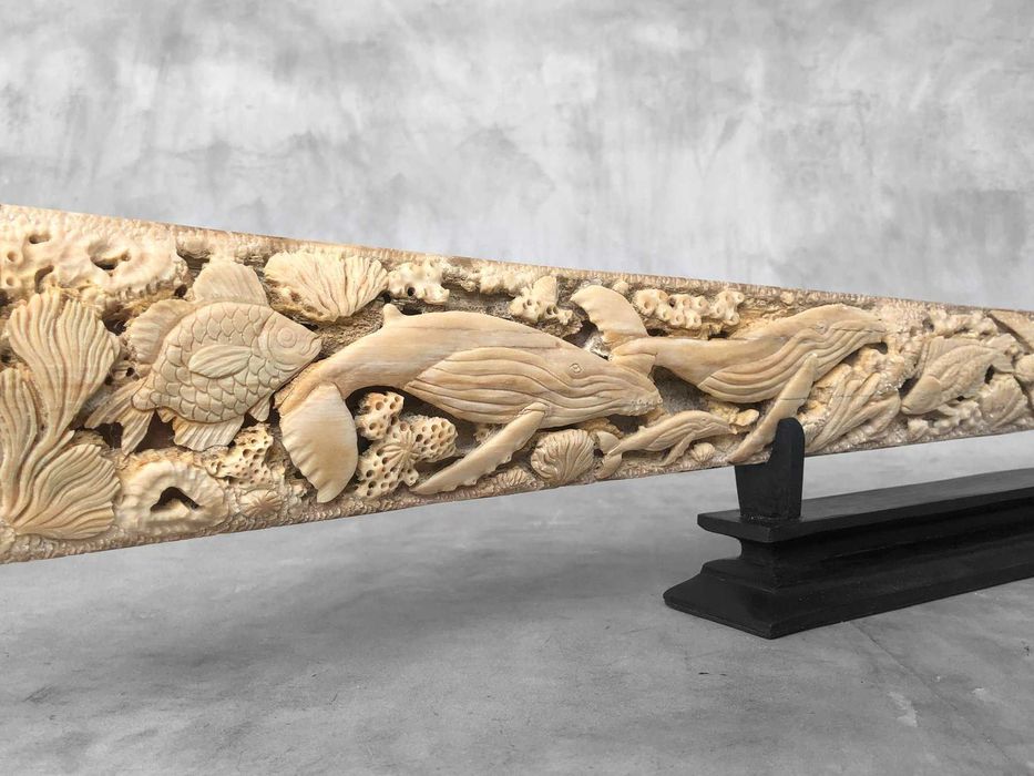 lança de espadarte(Xiphias Gladius ) .(95 cm x 10 x 5cm)