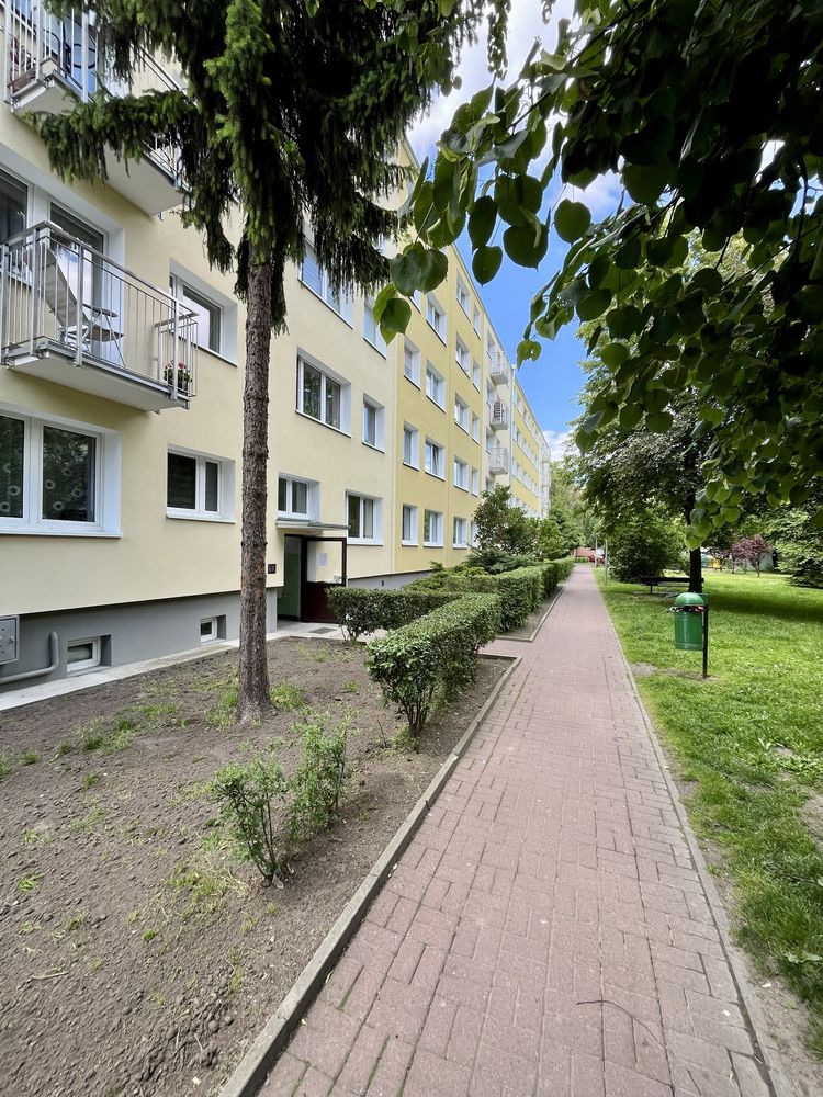 Przytulne w pełni umeblowane mieszkanie na wynajem. Wolne od 01.08