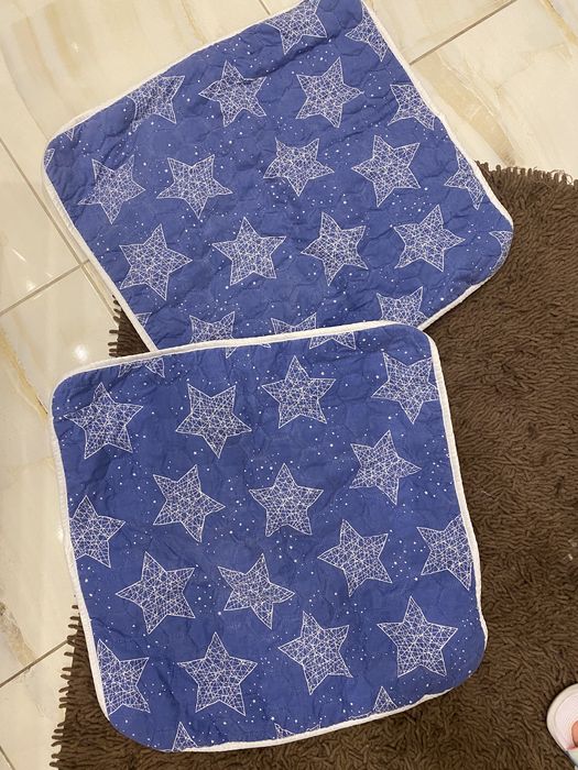 Многоразовые клеенки для собак 2шт