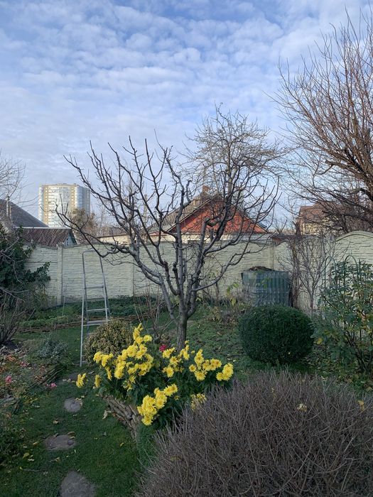 Обрізка плодових дерев • Обробка саду • Харків