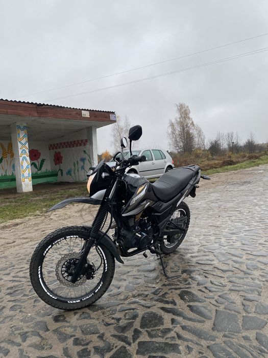 Продам лонкин прус