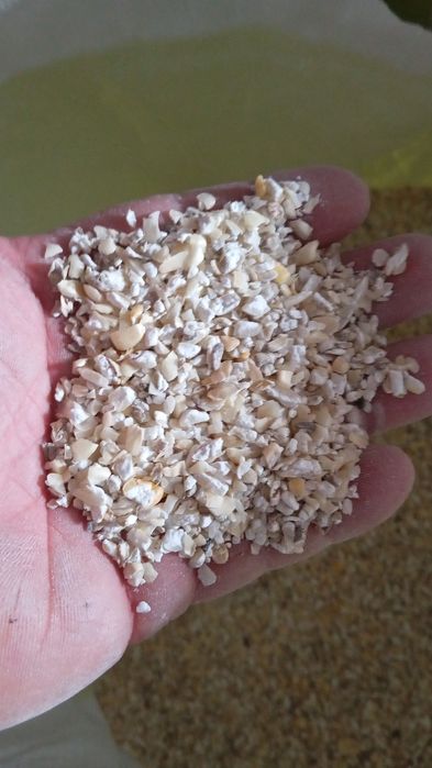 Milho partido novo a 0,23 o kg
