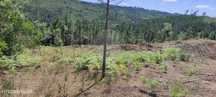 Terreno  para venda
