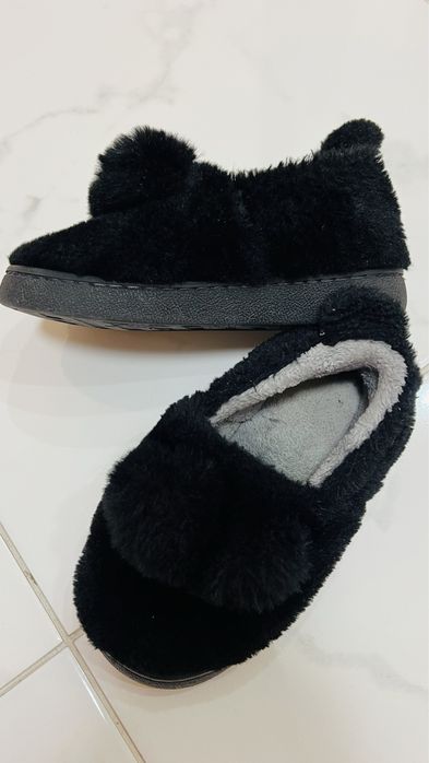 Тарочки кімнатні 19см