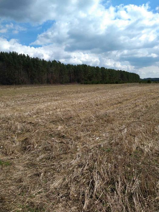 Земельна ділянка