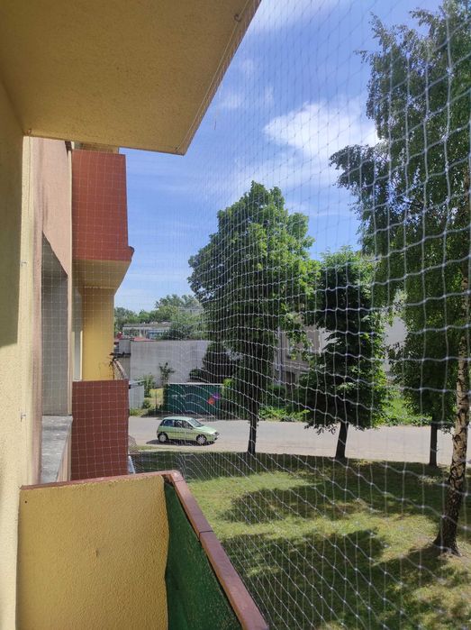 Siatka na kota, ptaki.