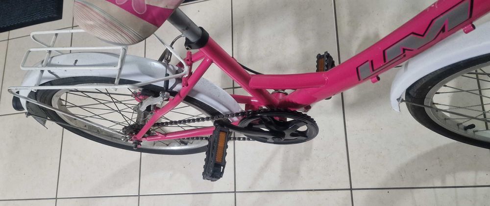 Bicicleta Menina com Cesto - Roda 20"