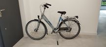 Rower damka Gazelle 28 Shimano Nexus