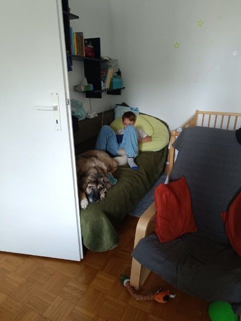 Wróci do schroniska, jeśli nie znajdziemy domu. Adoptuj, uratuj!