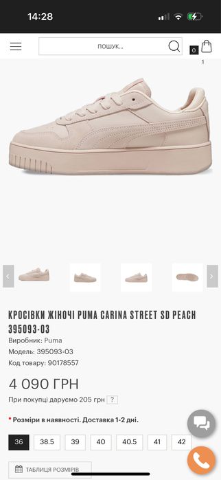 Puma carina street