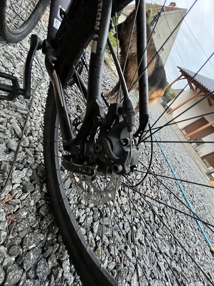 Rower kross black edition 1