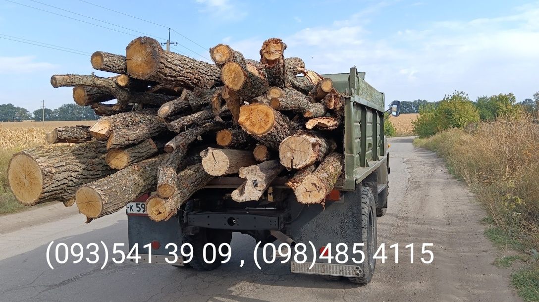 Продам дрова граб,ясен, дуб по бажанню
