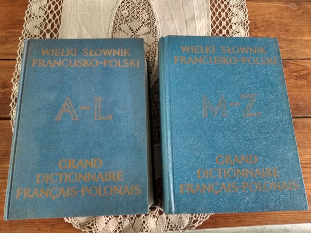 Wielki słownik francusko - polski