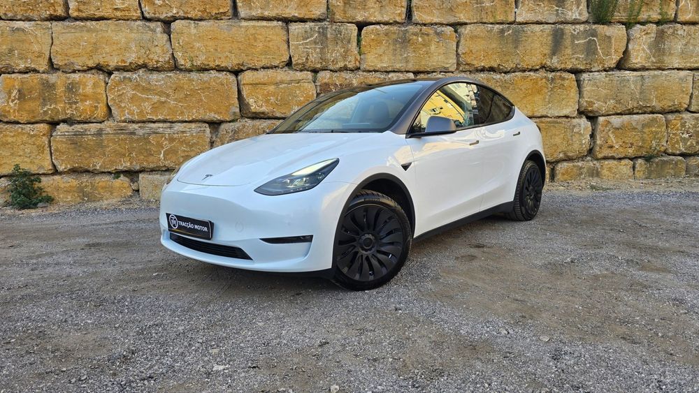 Tesla Model Y Long Range Tração Integral