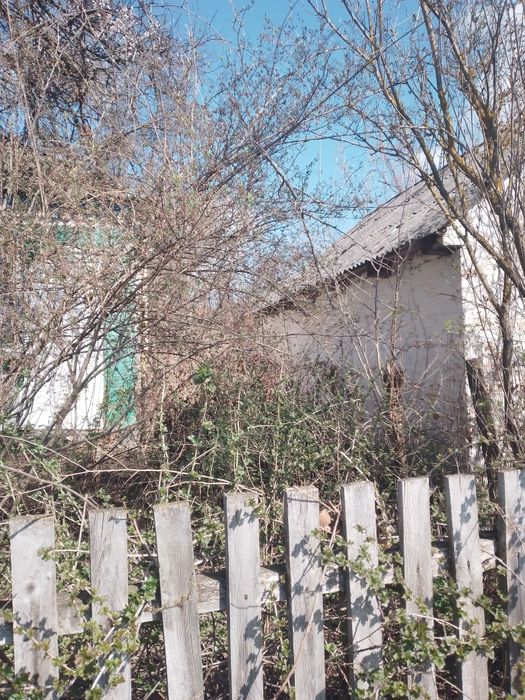 Продам будинок біля лісу та ставка