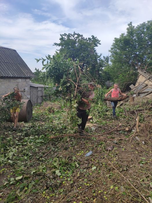 Демонтаж всего. Уборка участка. Земляные работы. Вывоз мусора
