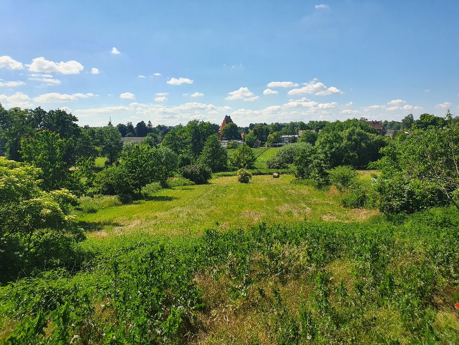 Działka budowlana siedliskowa 4500m2 Gębice k. Mogilna uzbrojona