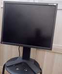 Monitor EIZO FlexScan 1932