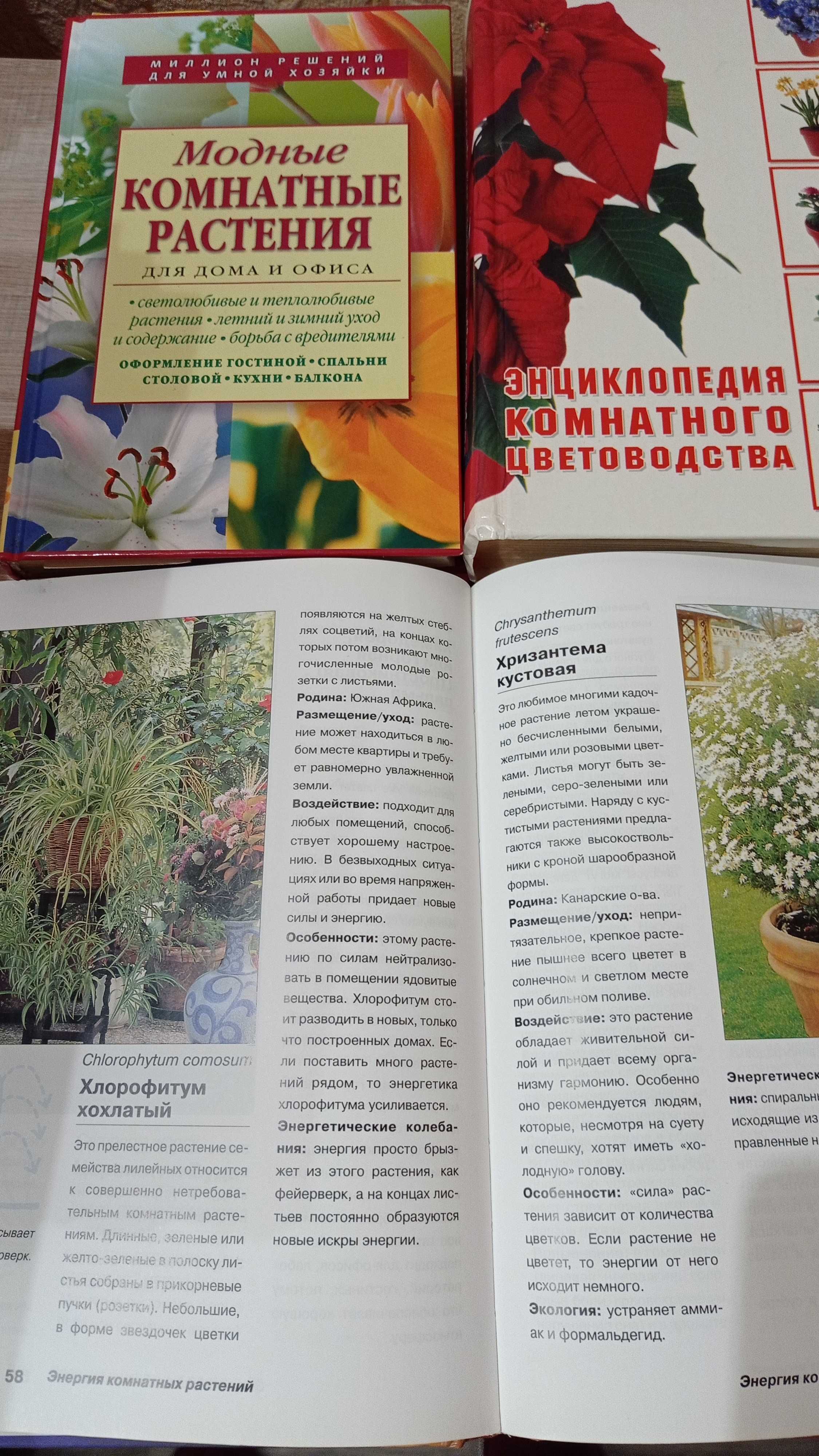 Книги про кімнатні рослини