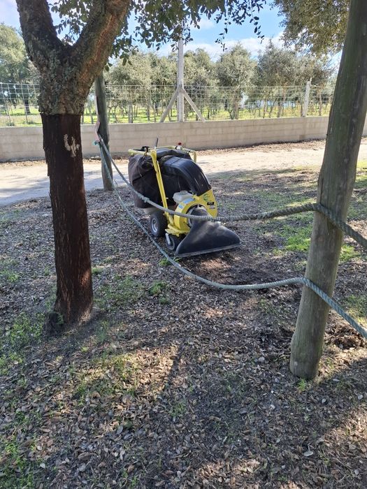 Aspirador de folhas industrial e outros