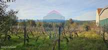 Terreno Para Construção  Venda em Silgueiros,Viseu