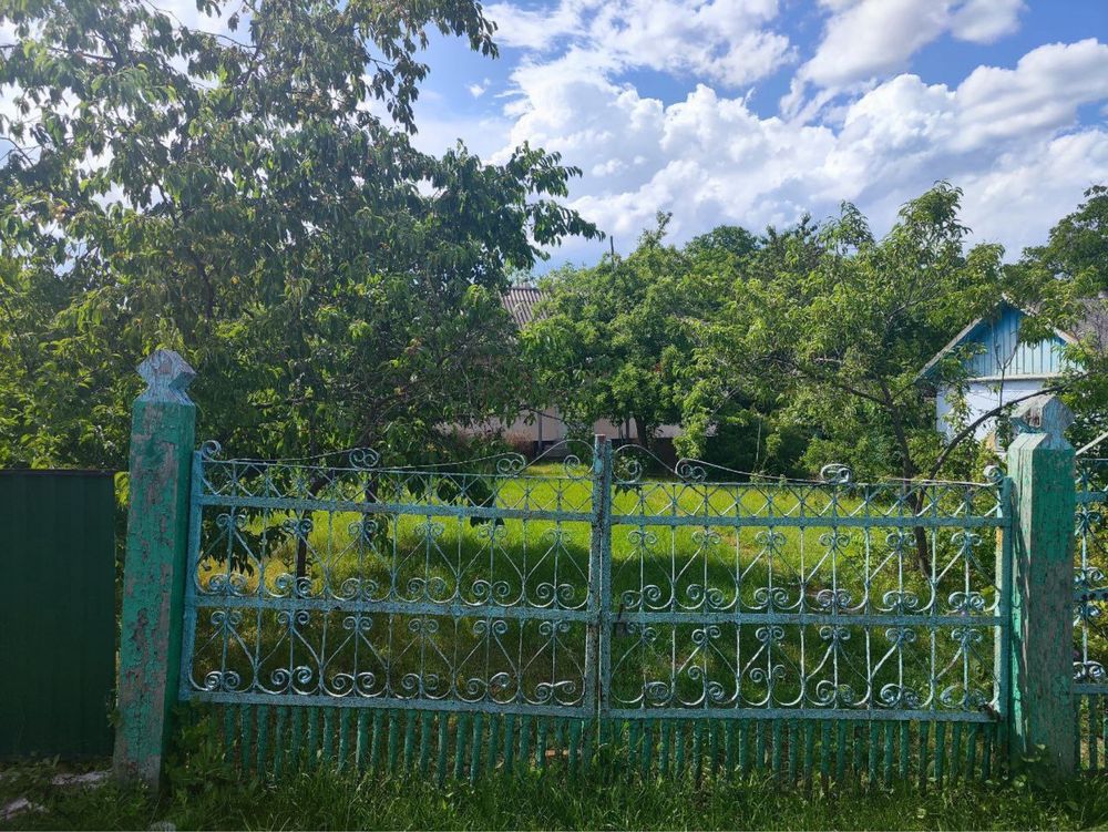 Продам будинок Селище Чернівецька область