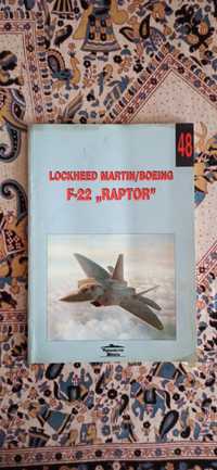 F - 22 "Raptor" - Lockheed Martin/Boeing.