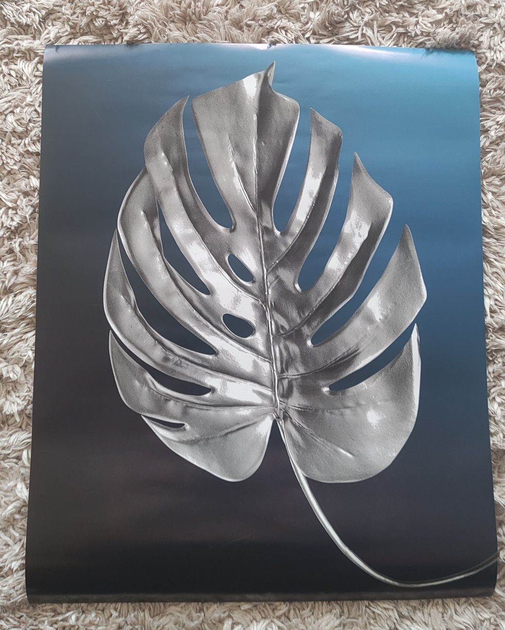 Plakat 50x40 monstera