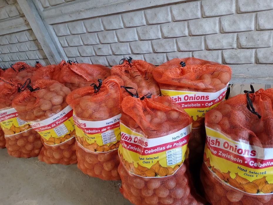 Sprzedam ziemniaki Tajfun