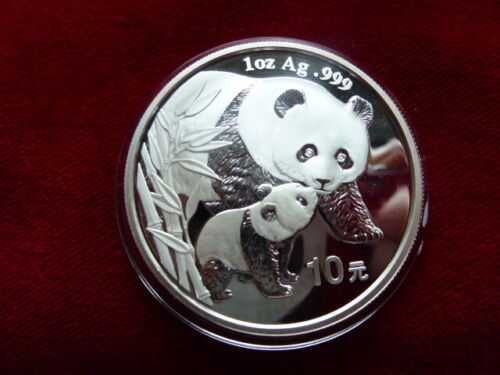 Panda 10 H Chiny 2004