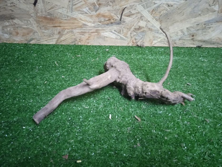 Korzeń do akwarium Red Moore Wood nr 732 o wymiarach 18/15/17