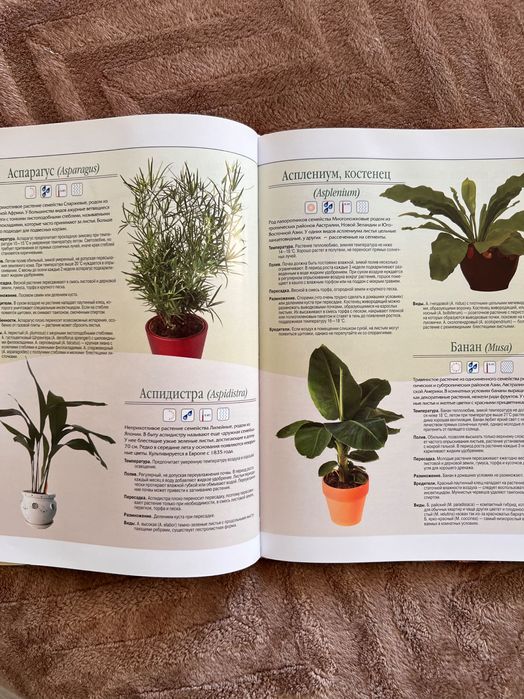Книга-энциклопедия Комнатное цветоводство