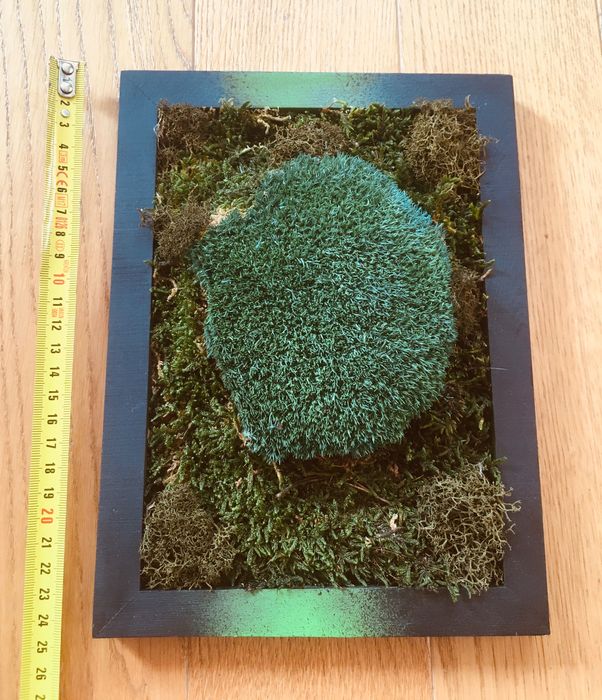 Artystyczny, sztuczny mech w ramce. 19x25 cm.