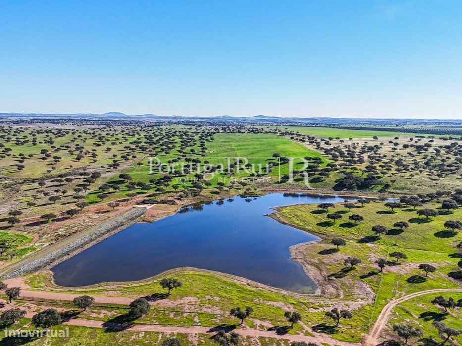Herdade com 844 hectares com vocação ganadeira na região de Beja
