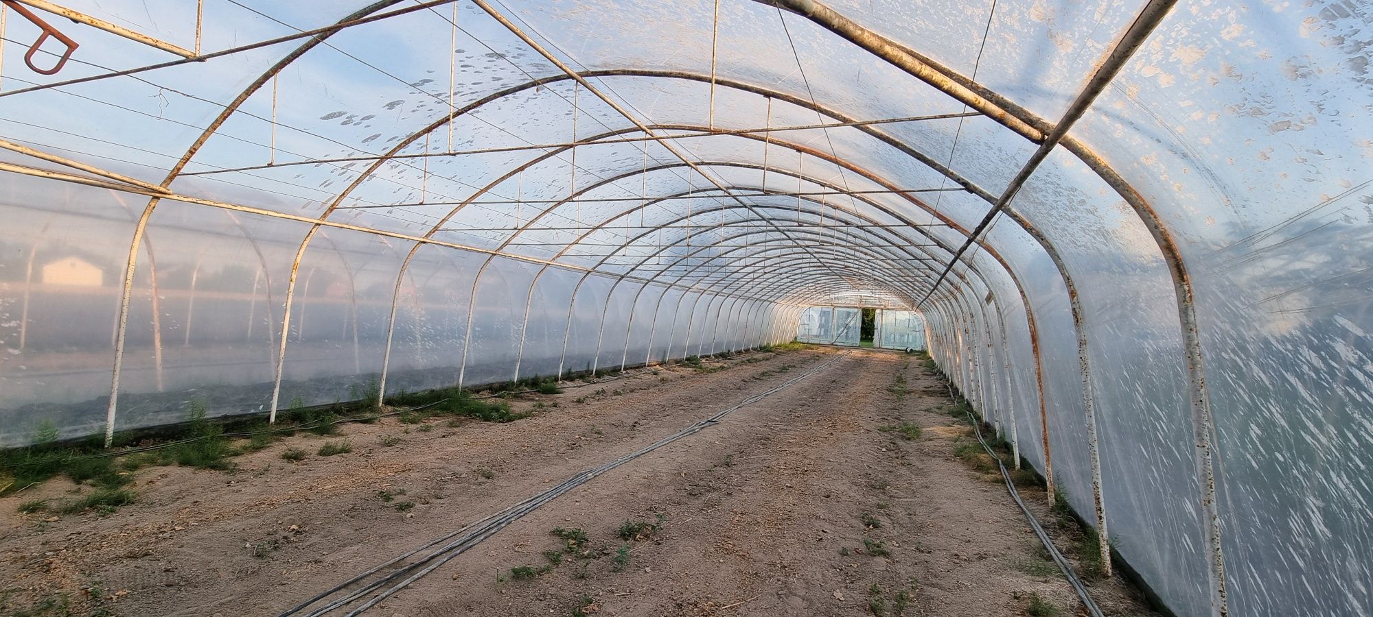 Tunele foliowe 7x30 grubościenne rury