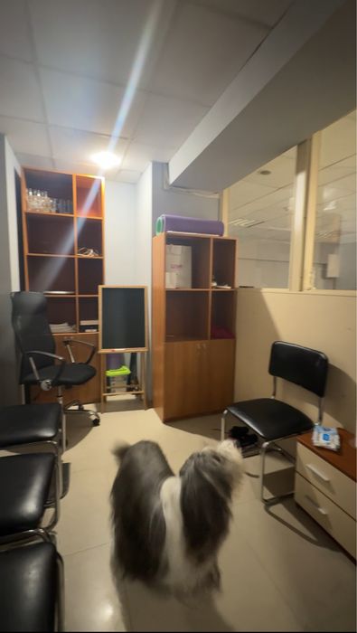 Продажа помещение ремонт 106м, 33200$ без комиссии для покупателя