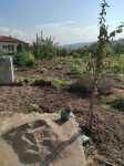 Terreno em Viseu-Fornos Maceira Dão, Mangualde