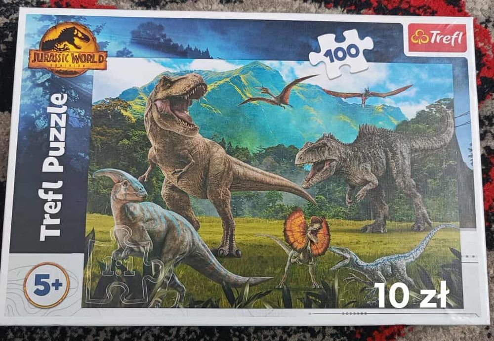 Puzzle 100 elementów