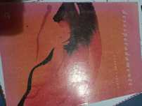 Livro de Carlos Castro