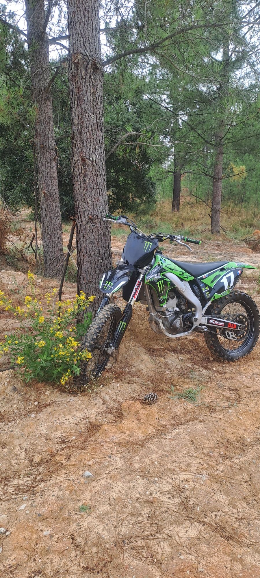 Kawasaki kx250f ano 2009