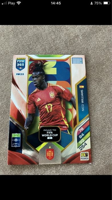 Karta panini Nico Wiliams Road to world cup