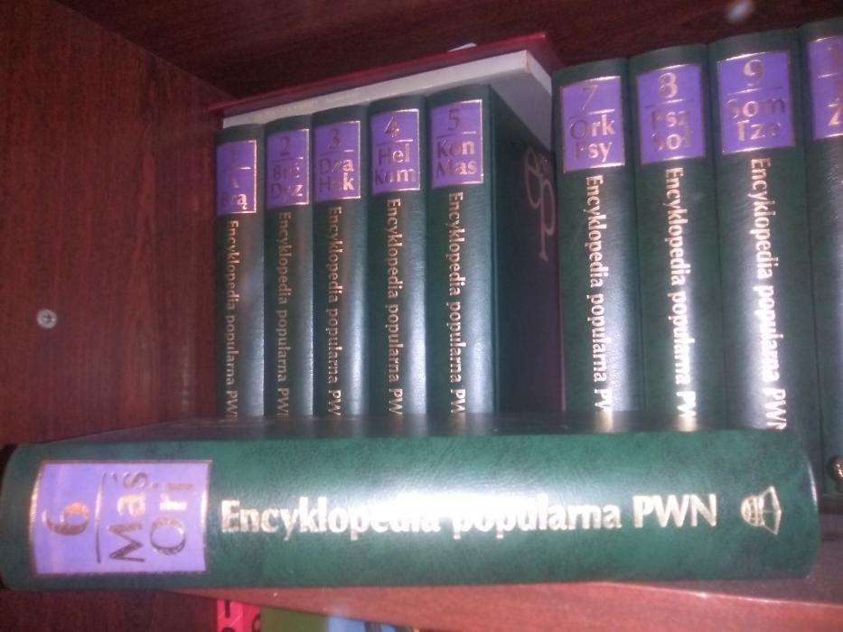Encyklopedia PWN z GUS Kpl 1- 10
