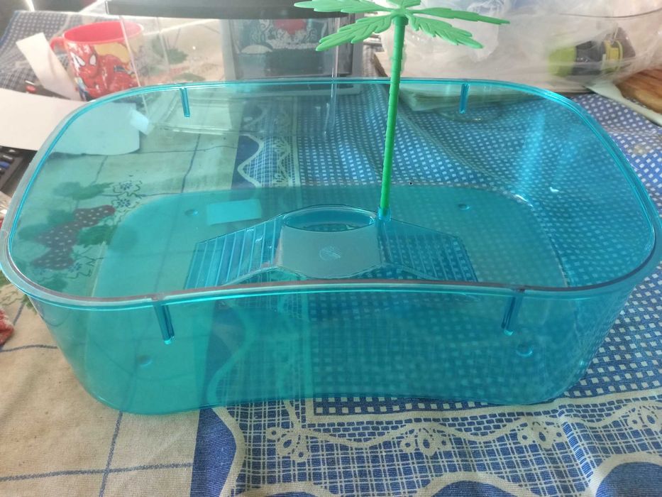 Tartarugueiras novas