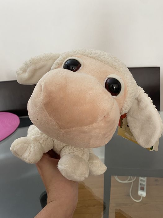 Animal da Quintinha Ovelha