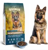 Dovinus Performance Karma Sucha 20kg dla Owczarka Border Dog Retriver