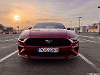 Ford Mustang 5.0 460KM 2019 faktura VAT 23% cena brutto bordowy igła