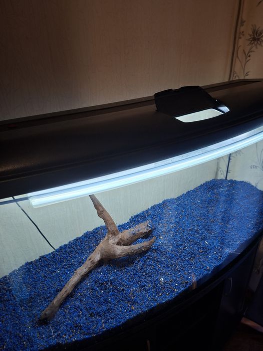 Овальний Акваріум