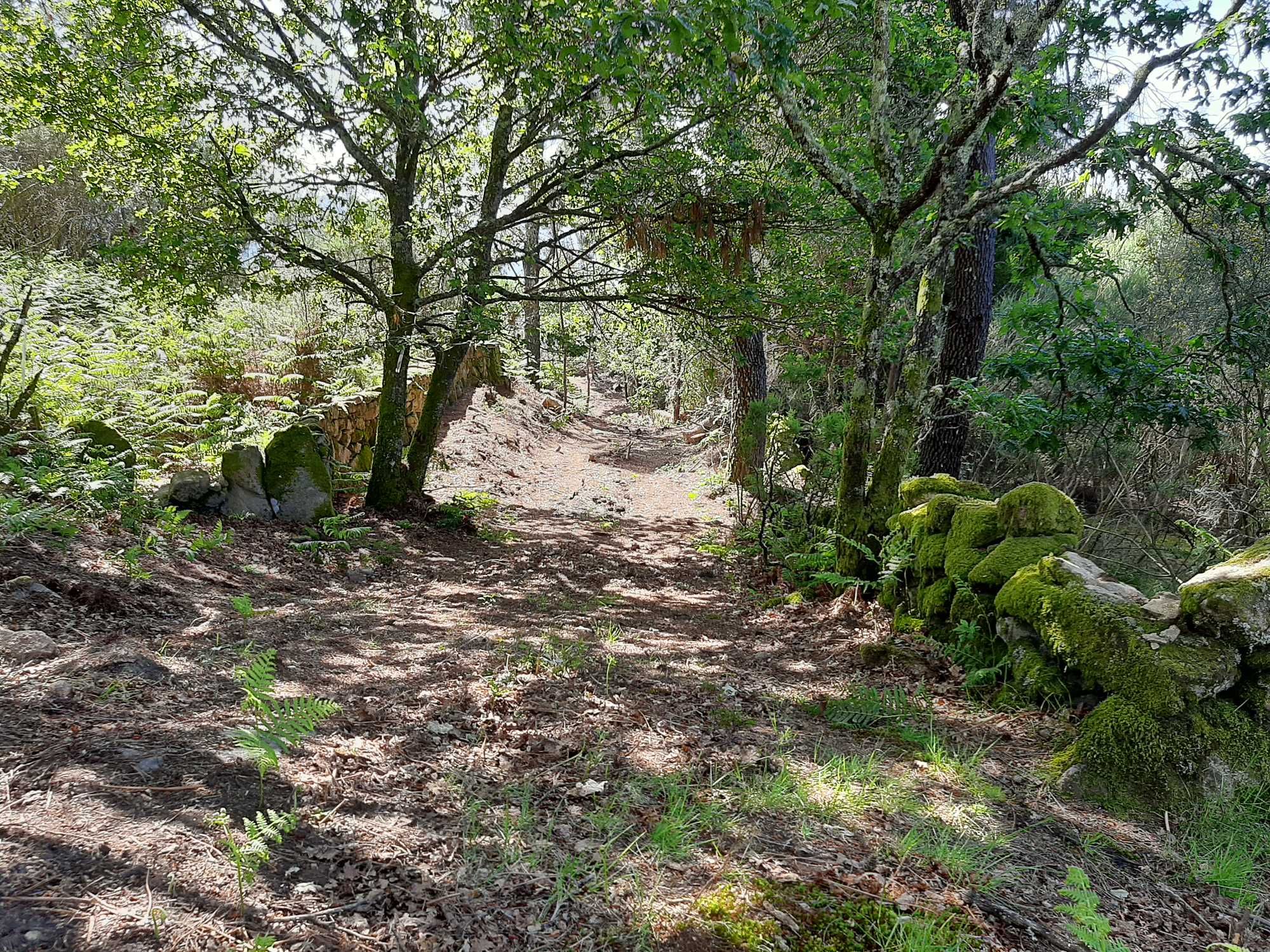 Terreno no Soajo