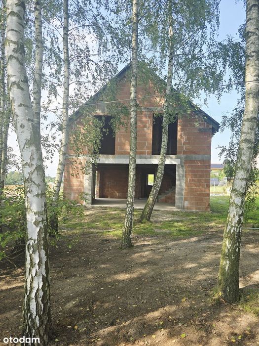 Dom z własnym lasem